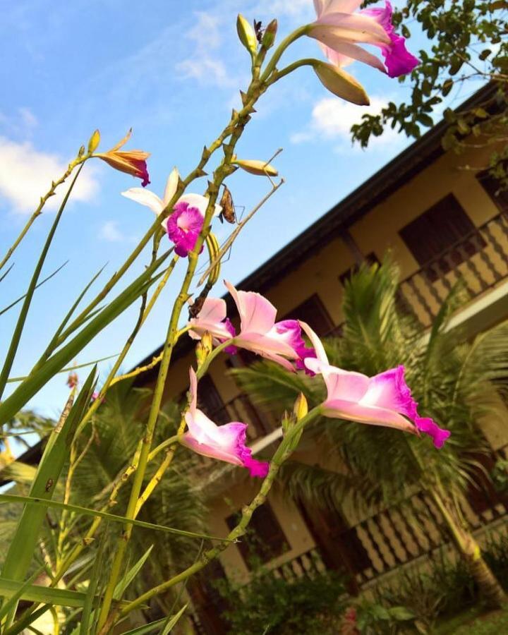 Pouso Bom Retiro Hotel Paraty Exterior photo